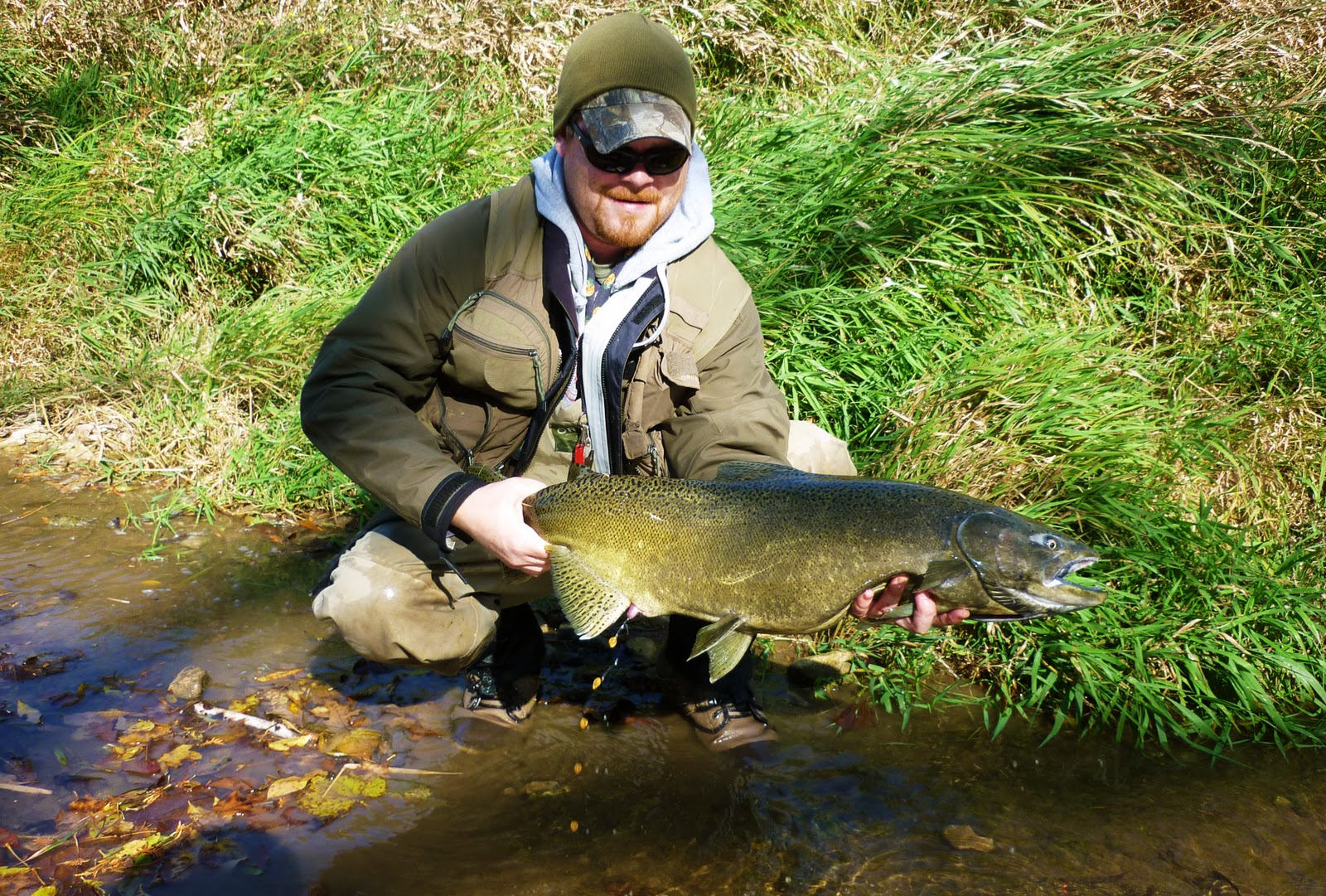 Illinois Wisconsin Fishing wisconsin's late running king salmon