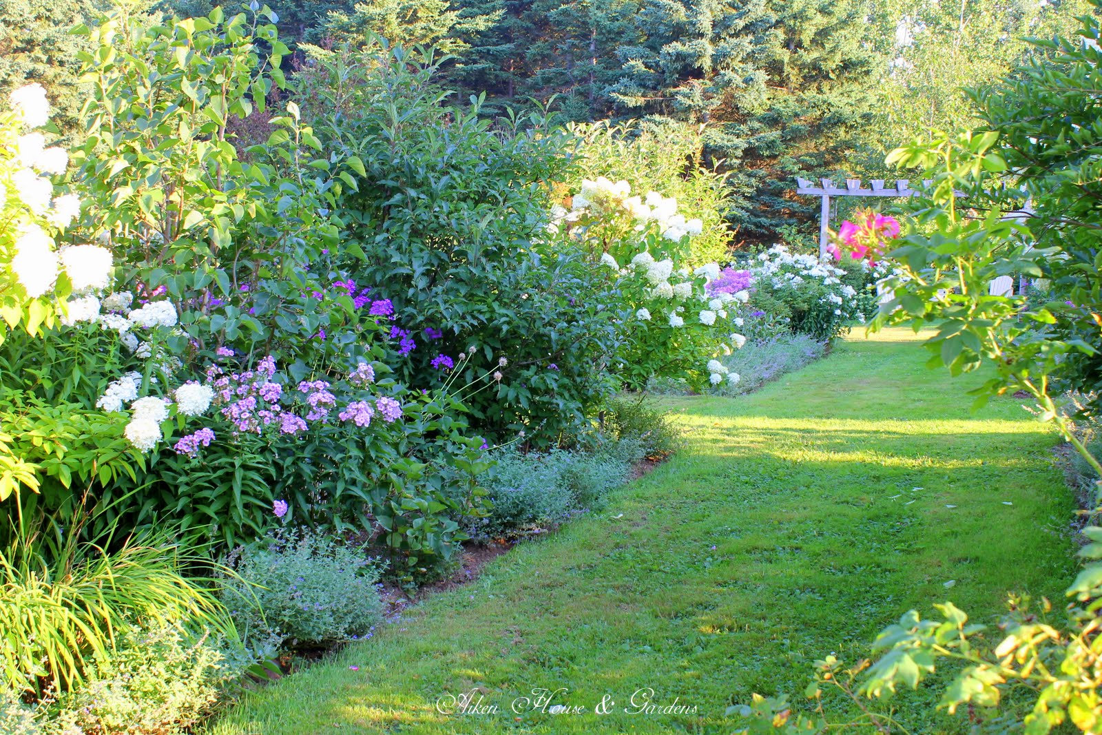 Aiken House & Gardens Touring the Late August Garden