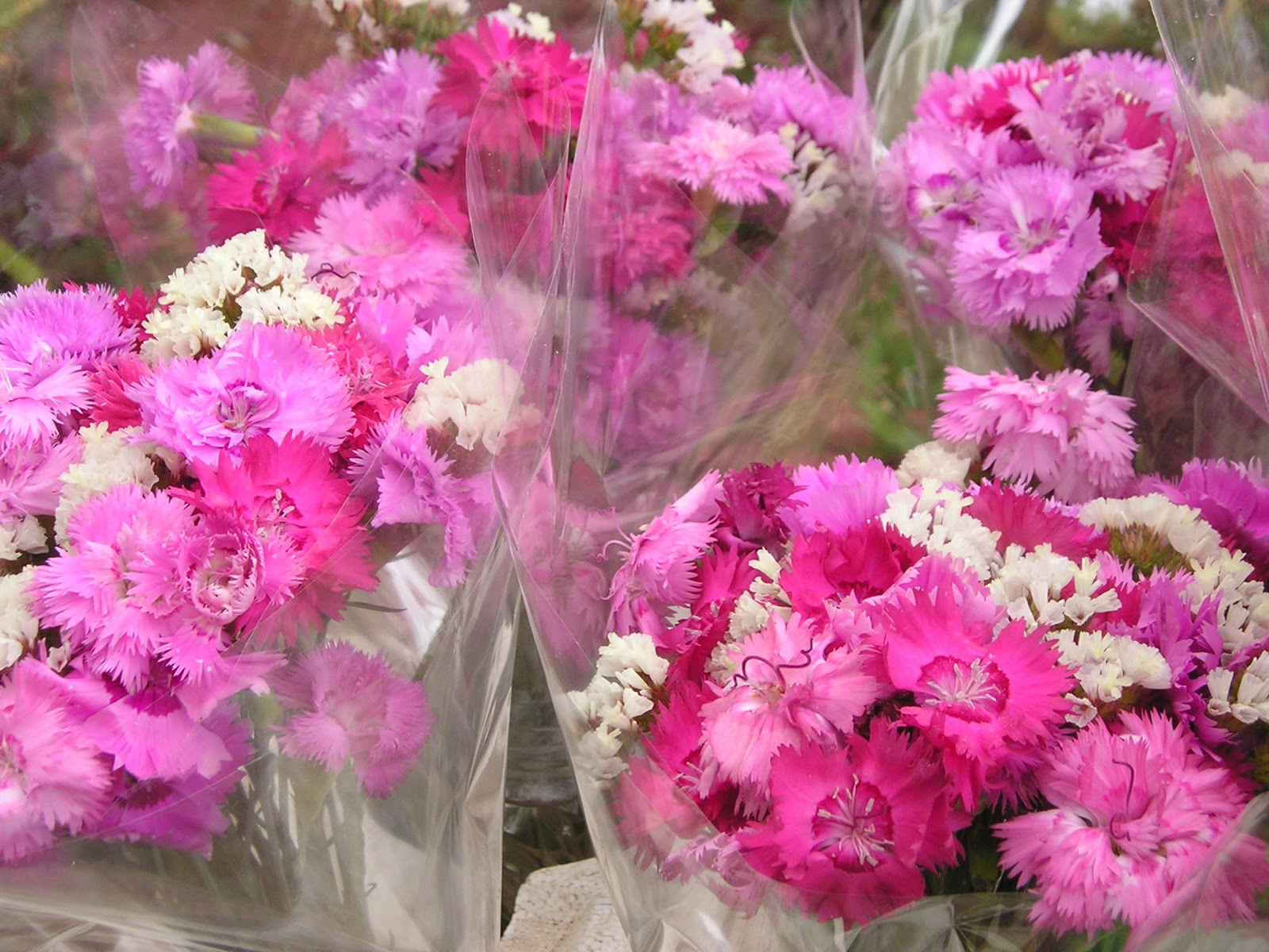 JB FlowersandVeg Fresh Flowers Mildura