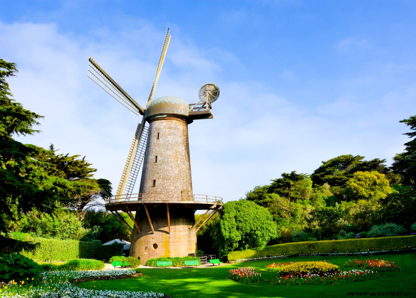 Golden Gate Park Windmills Tulips Golden Gate Park Windmills Tulips