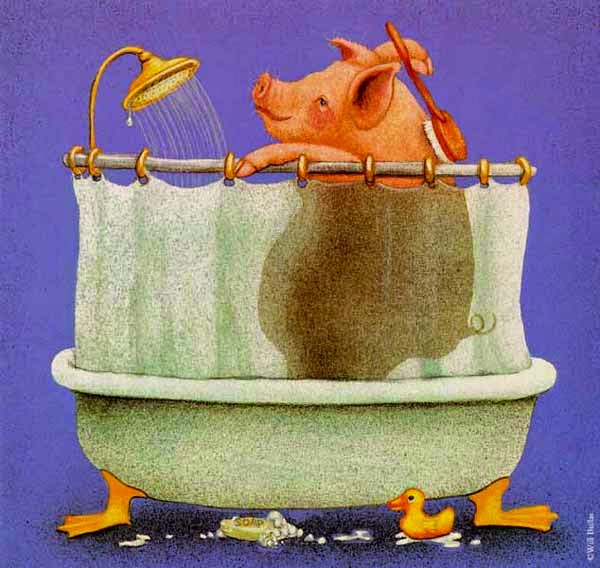 hogwasher faq hogwasher faq