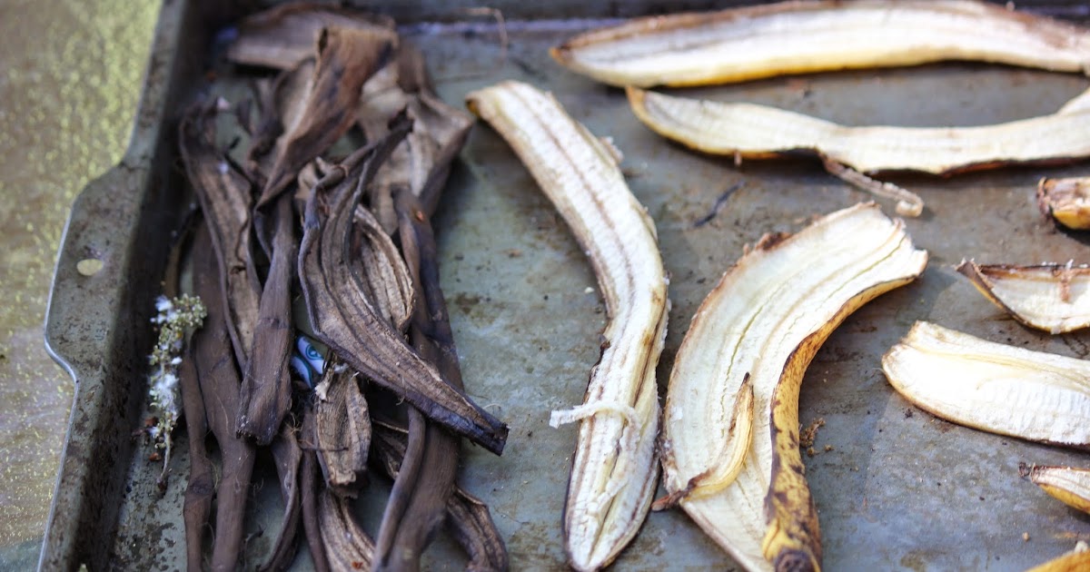 The Cabin Countess Banana Peel Fertilizer