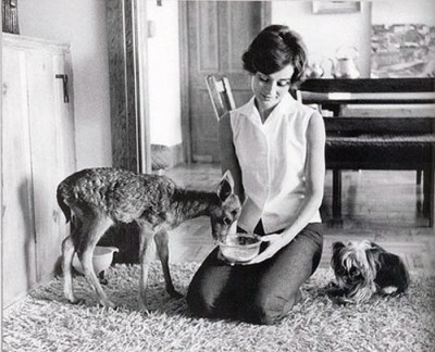 Las mascotas de Audrey Hepburn