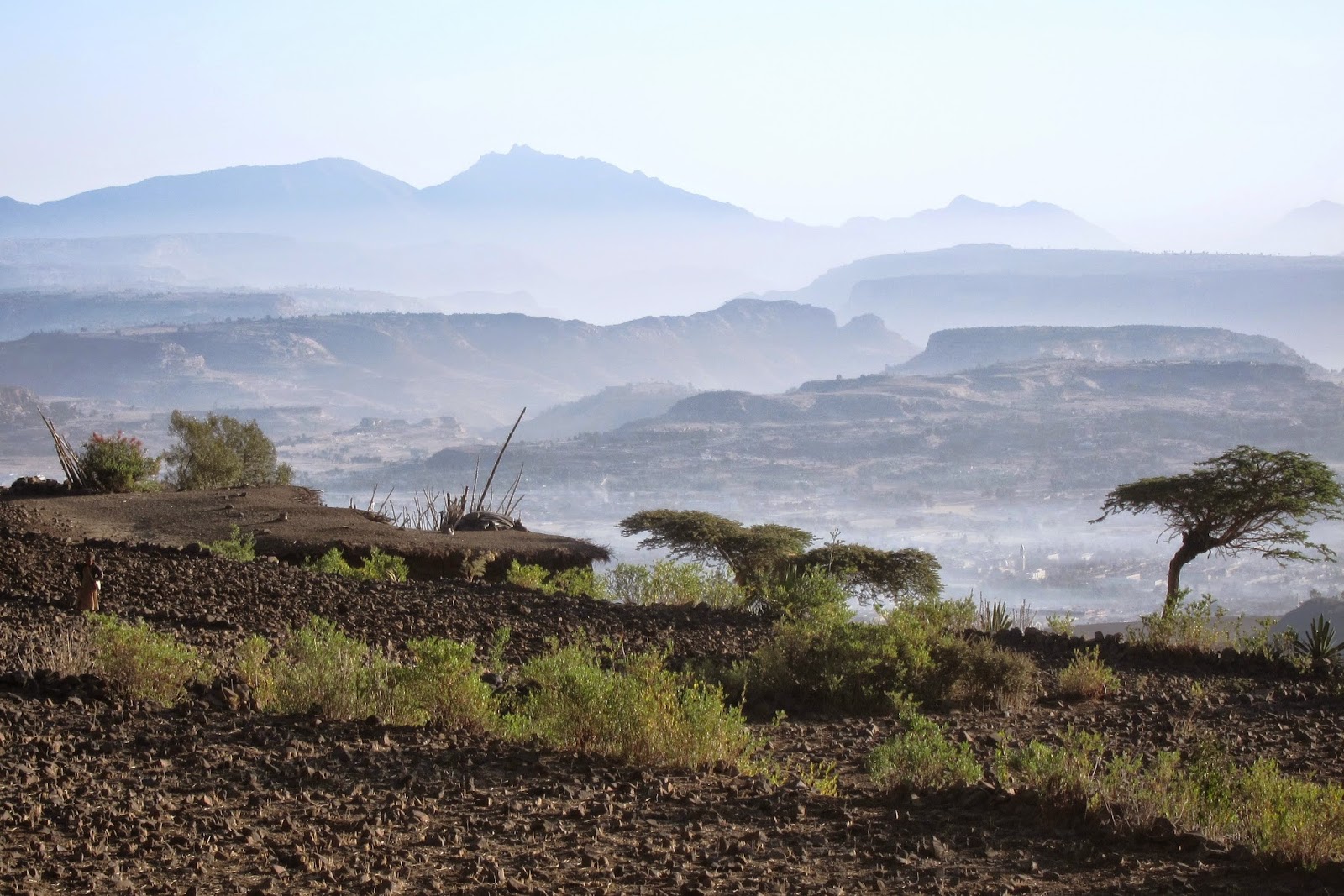Le blog de l'association Tesfay : Quelques informations sur l'Ethiopie