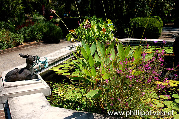 Trip to Memphis - Dixon Gallery Gardens