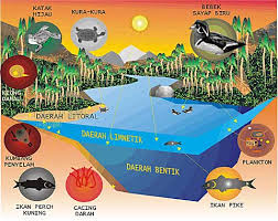 Interaksi Antar Komponen Dalam Ekosistem Biotik Abiotik ...