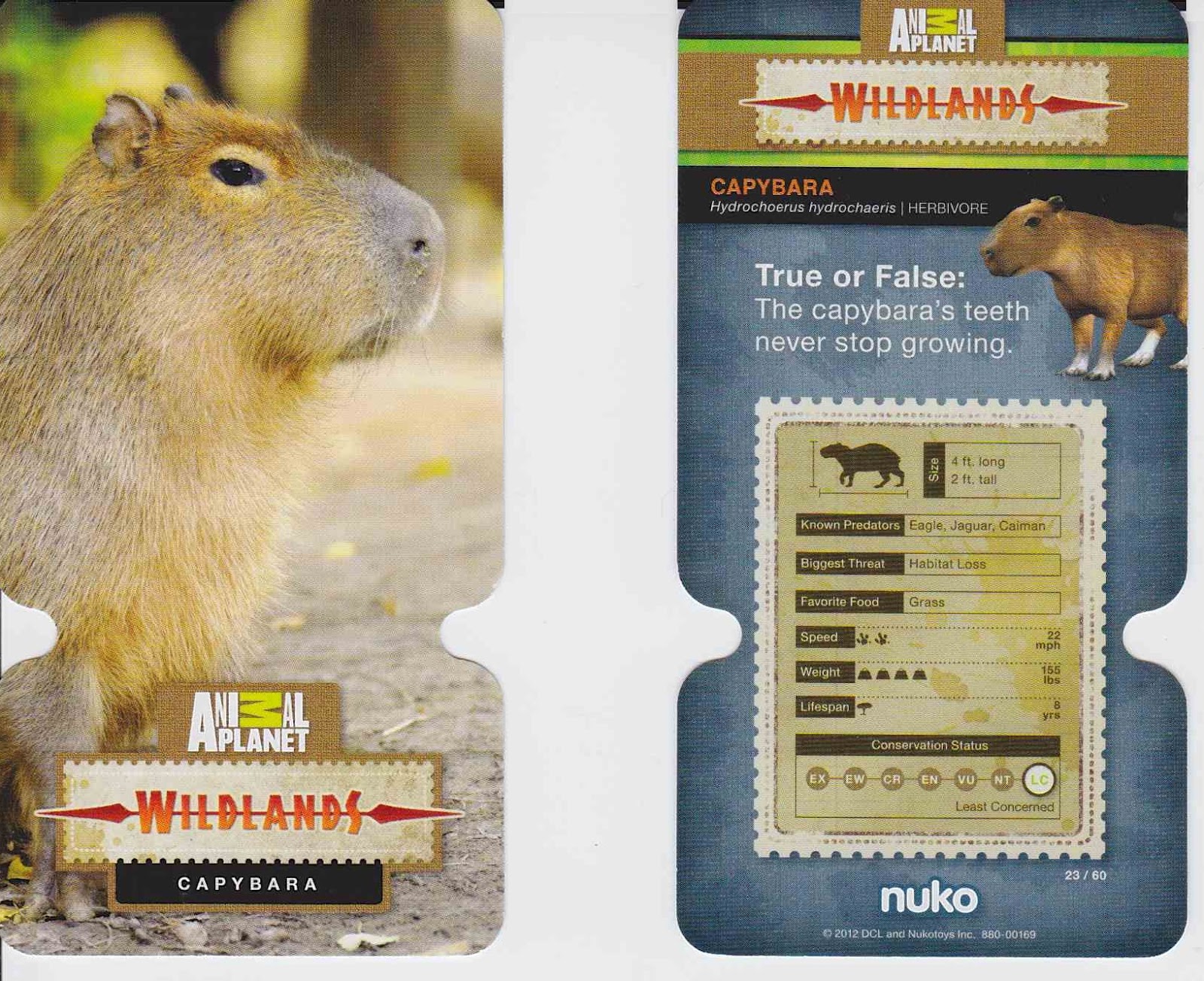 Bonggamom Finds: Animal Planet Wildlands Cards