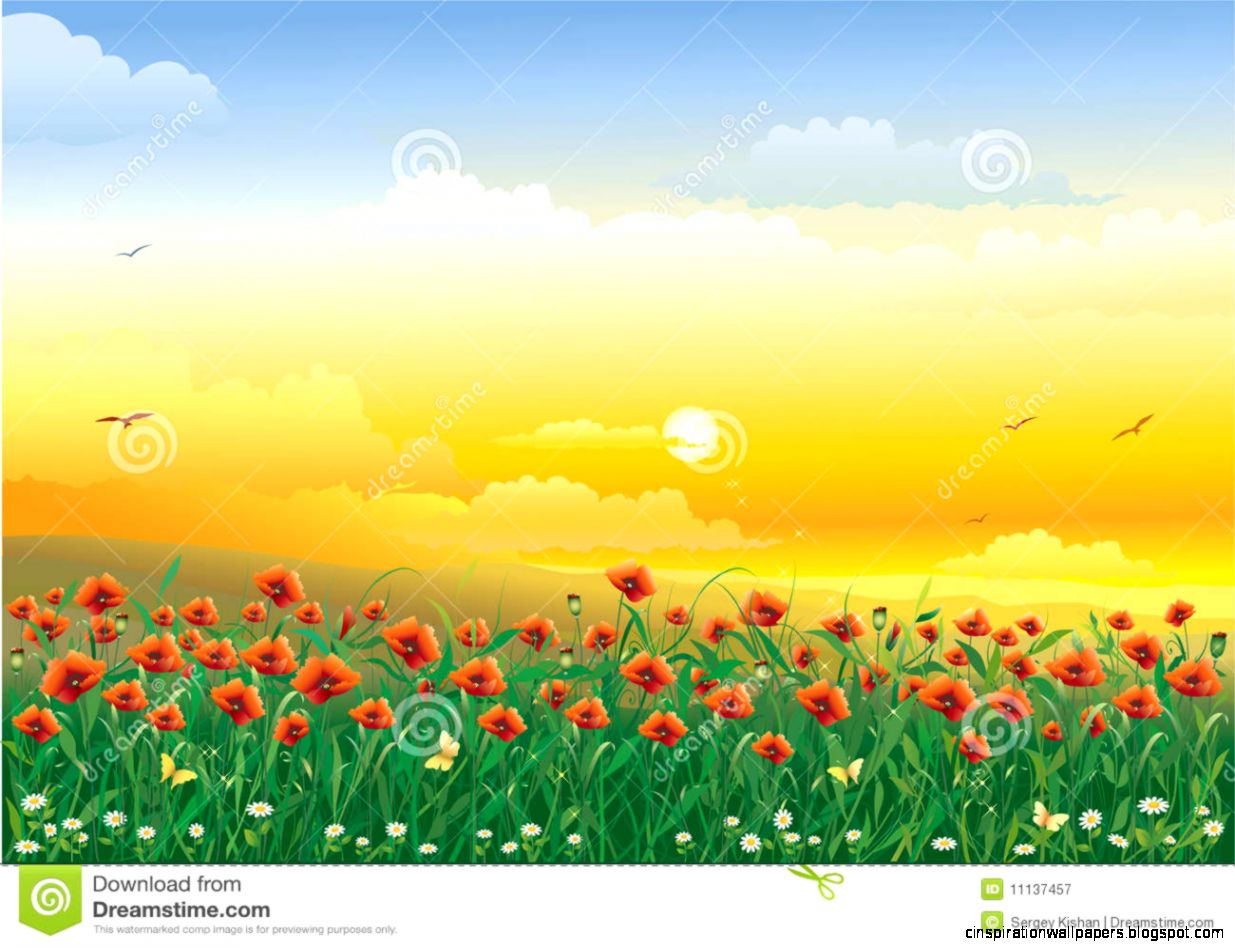 Field With Flowers Royalty Free Stock Photography Image 11137457 Field With Flowers Royalty Free Stock Photography Image 11137457
