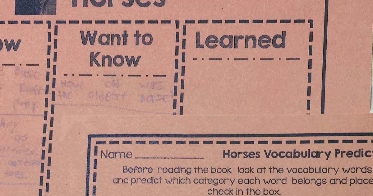 Create Learn Explore Horses