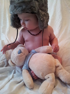 teddy bear, funky hat, 6 month old baby, photoshoot