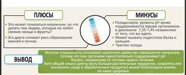 Диета Плюсы И Минусы Кратко