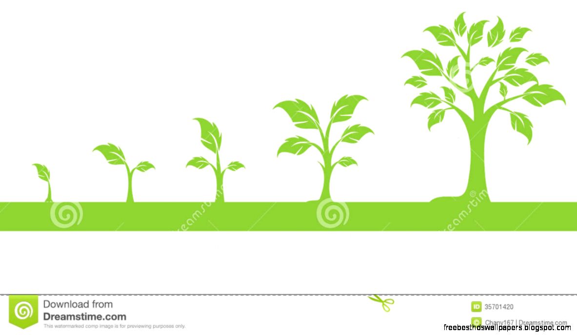 Growing Tree Clipart Clipart Kid Growing Tree Clipart Clipart Kid