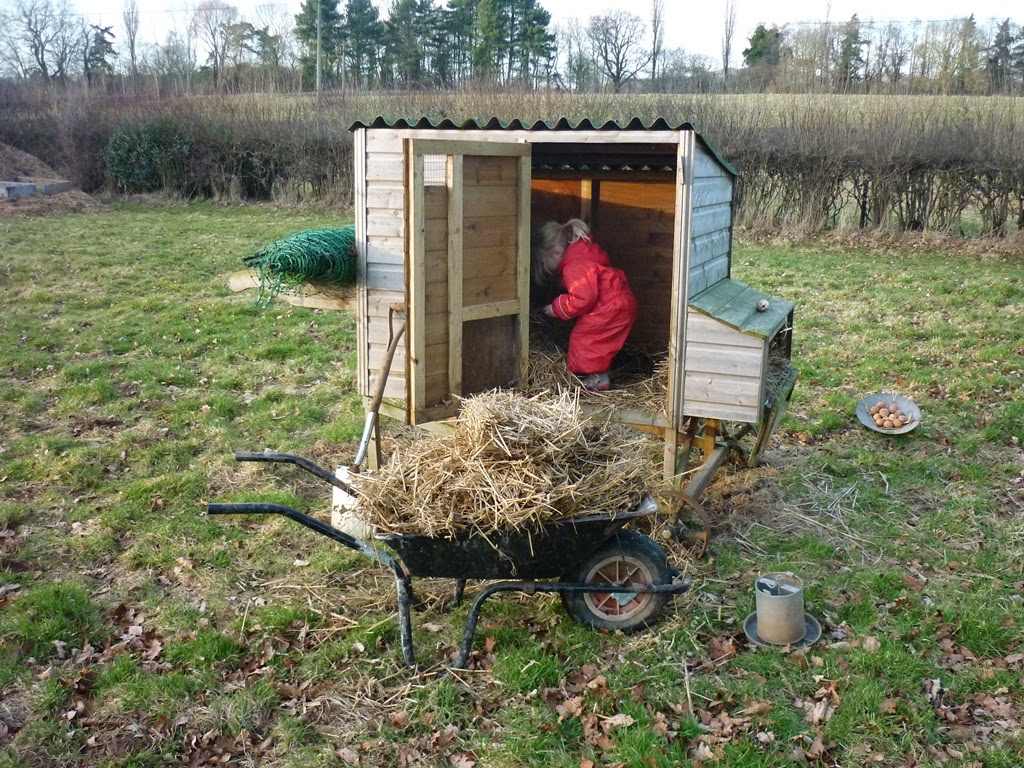 An English Homestead Wasted Eggs And Cleaning Out Chicken Coops