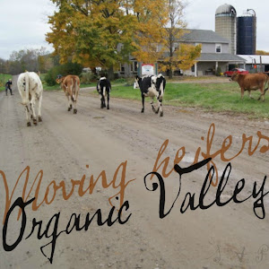 Organic Valley