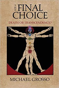 "The Final Choice: Death or Transcendence?"  by Michael Grosso