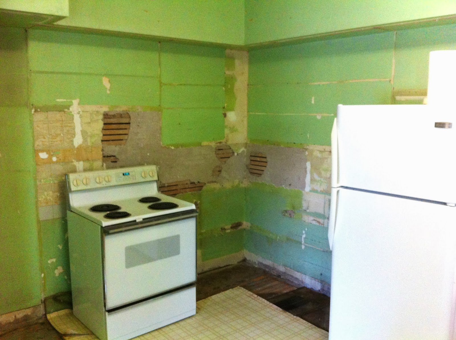 Kitchen Cabinet Removal Elz Design