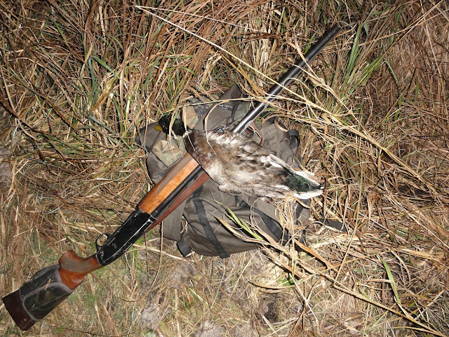 Охота на утку