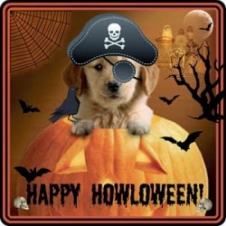 funny halloween pictures funny halloween pictures