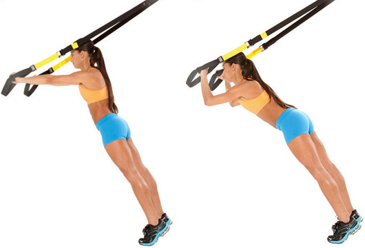 Jay�s Online Notepad TRX Total body Resistence Exercises