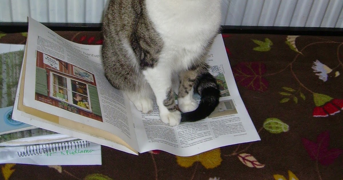 What's News Pussycat? Onoging Advice To My Cat Claw Shedding