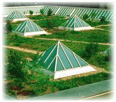 Green Technology as Solution