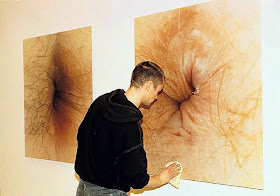 'El ojo del culo': Una exposición sobre anos causa furor en las redes . Expo+3