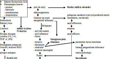 PATOFLOW: patoflow isk
