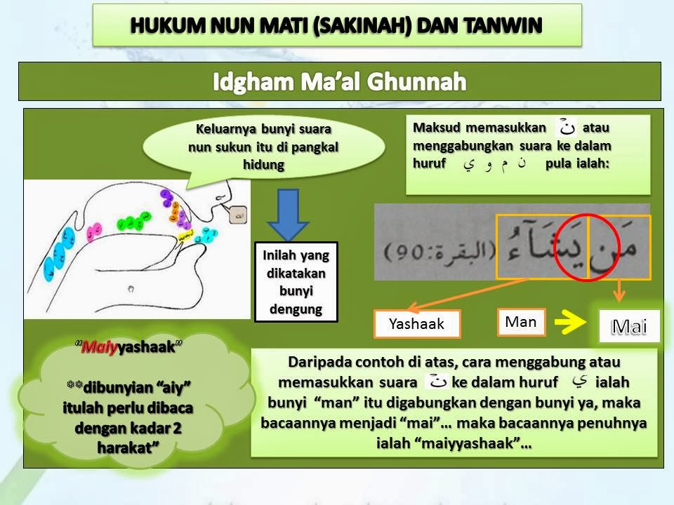 Mencari Hidayah Allah Hukum Nun Sakinah dan tanwin Bab