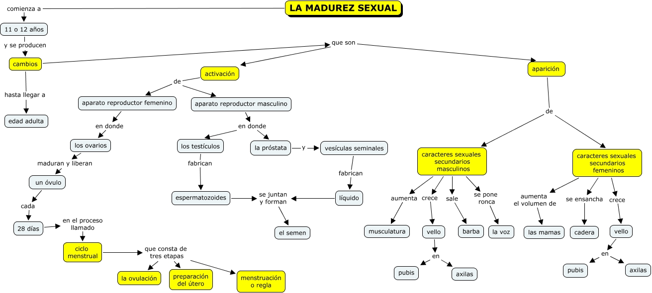 Opiniones de Madurez sexual