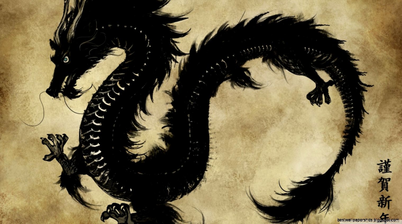 Chinese Black Dragon HD desktop wallpaper High Definition Chinese Black Dragon HD desktop wallpaper High Definition