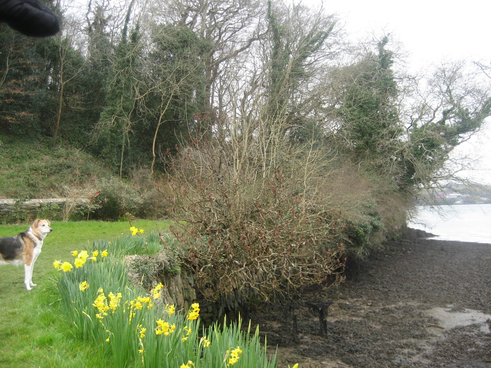 INSPIRED WALKS AROUND DEVON Mount Country Park Sunday 3rd