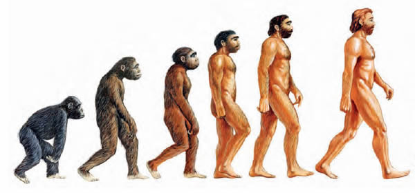La evolución del hombre  Evolving-evolution+comun