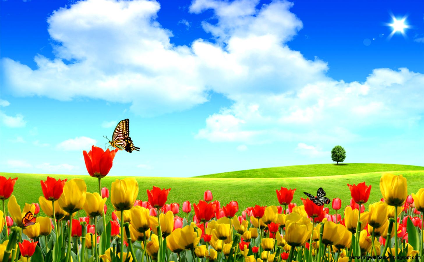 spring tulips wallpaper 6 HD Wallpaper  Flowers Wallpapers spring tulips wallpaper 6 HD Wallpaper  Flowers Wallpapers