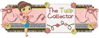 The Tulip Collector