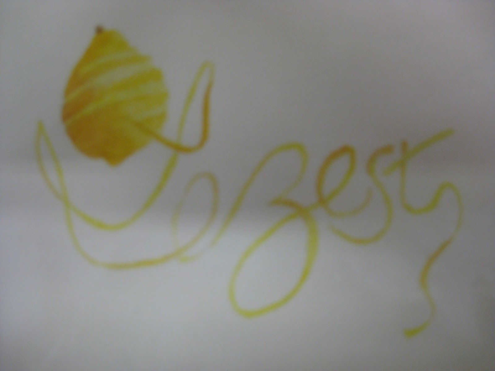 Calligraphy Southscribes Inc. Word of Month Zest