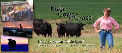 Kids, Cows and Grass