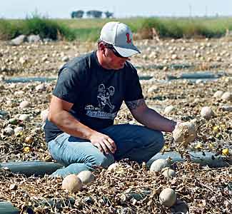 Recalled+products+2011