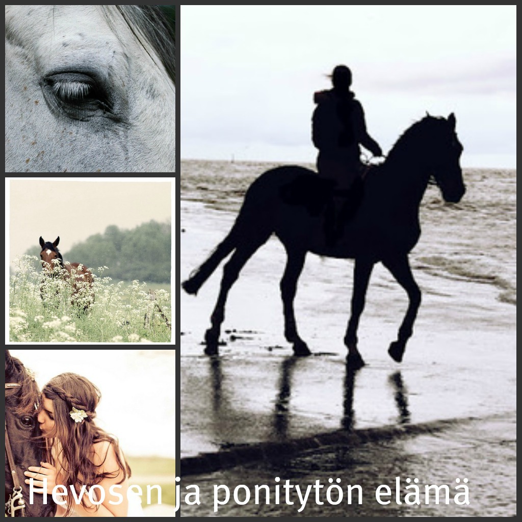 Hevosen ja ponitytön elämä