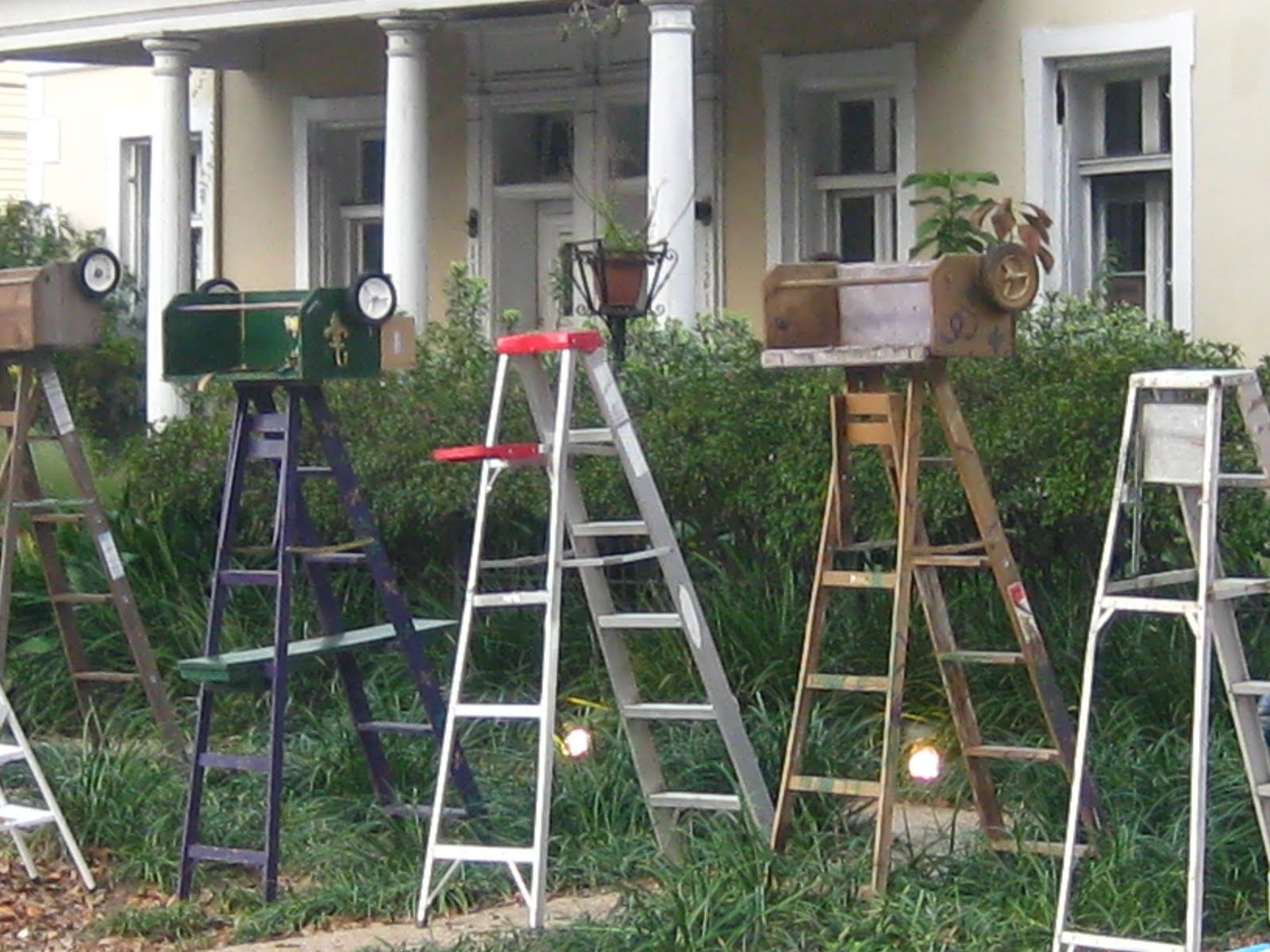 what is january 6 mardi gras