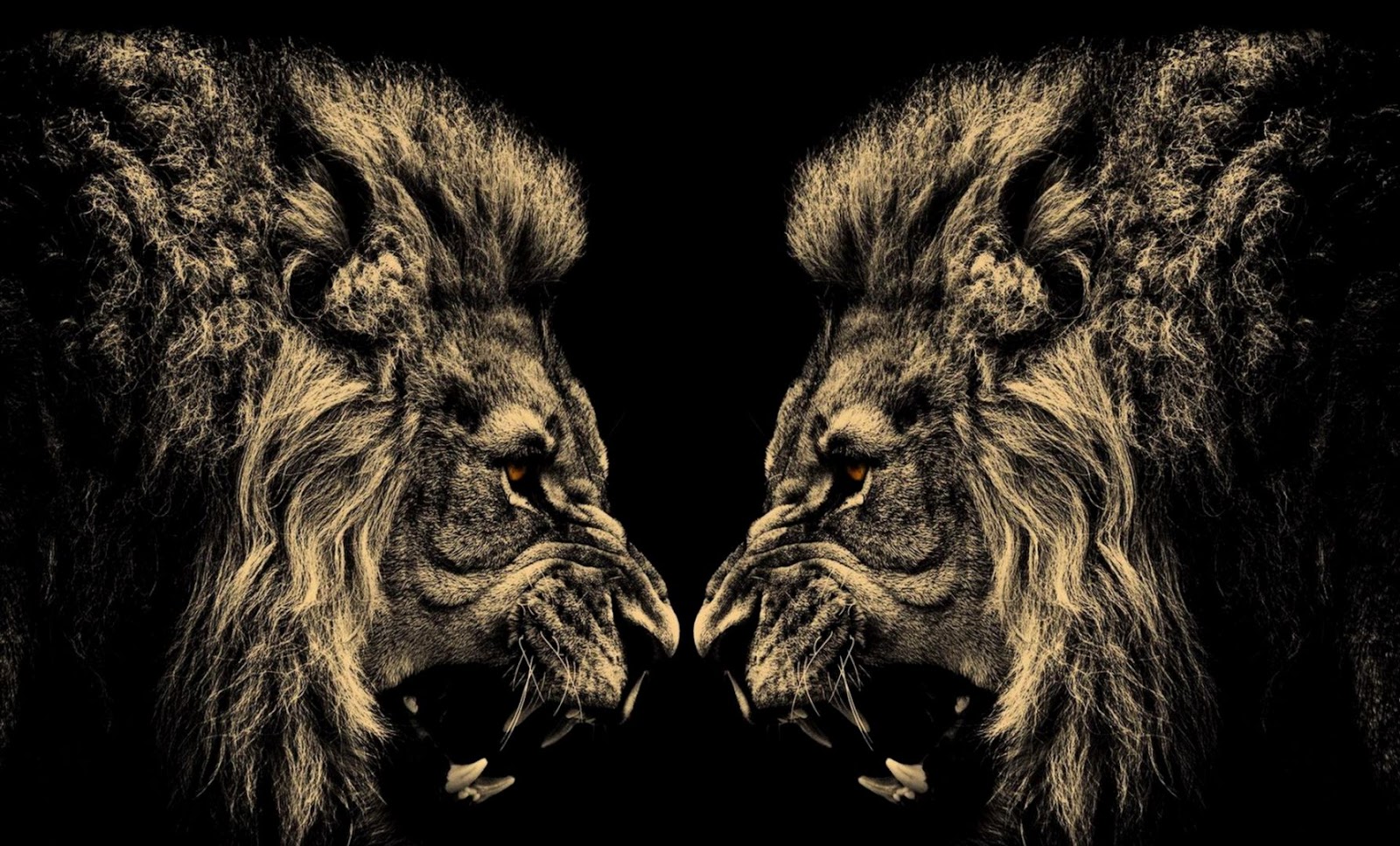 Abstract Lion Head Abstract Lion Head