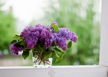 wildflowers