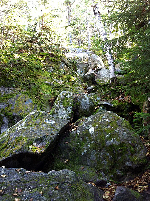 Views from the White Mountains of New Hampshire Mount Moriah