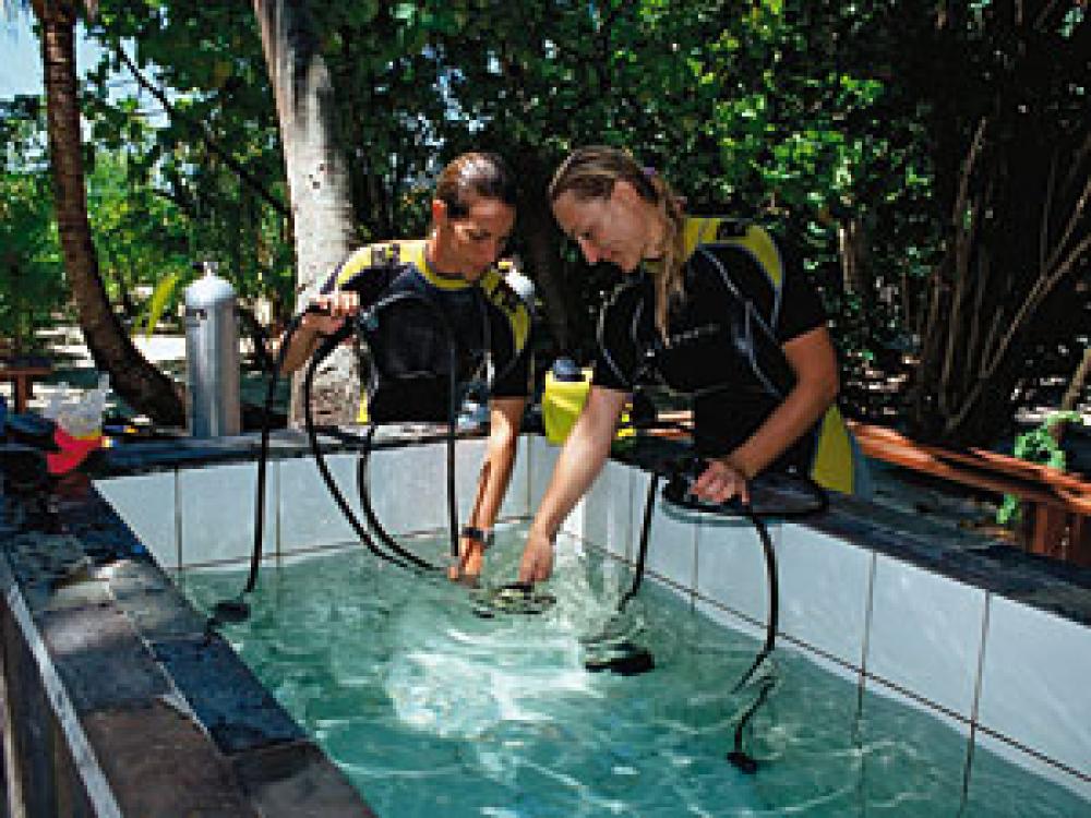 Quality Scuba Diving Cleaning Your Gear