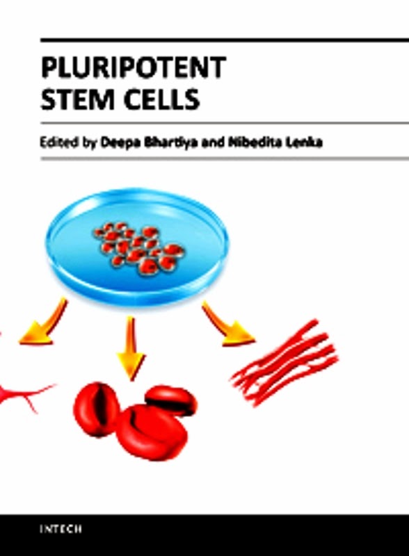 ebook les patrons et