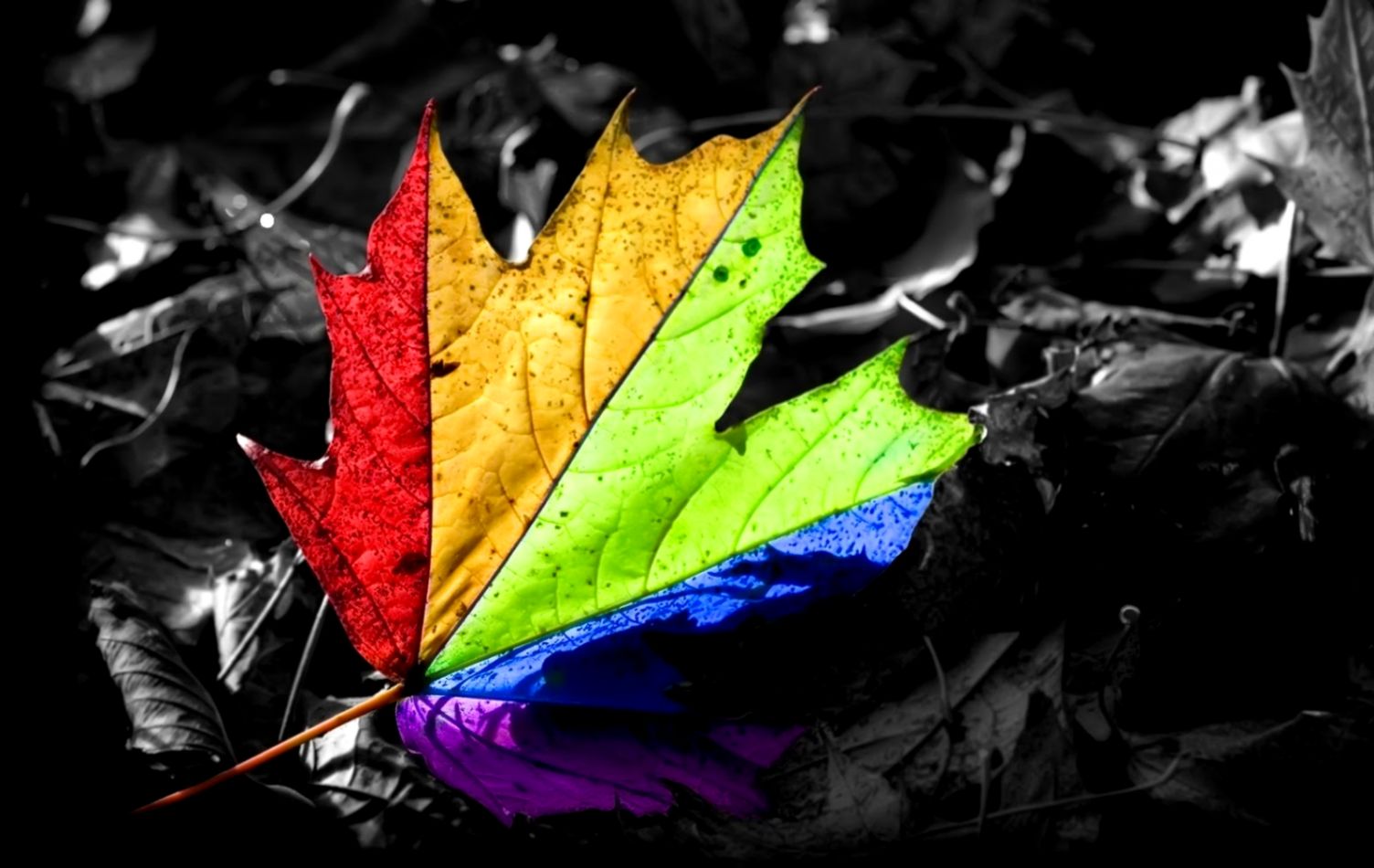 30 Cool HD Wallpapers Photo Portrays 30 Cool HD Wallpapers Photo Portrays