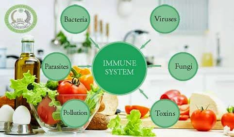 5 Makanan Untuk Membantu Tingkatkan Daya Tahan Tubuh Secara Alami Rsu Dan Holistik Sejahtera Bhakti Salatiga
