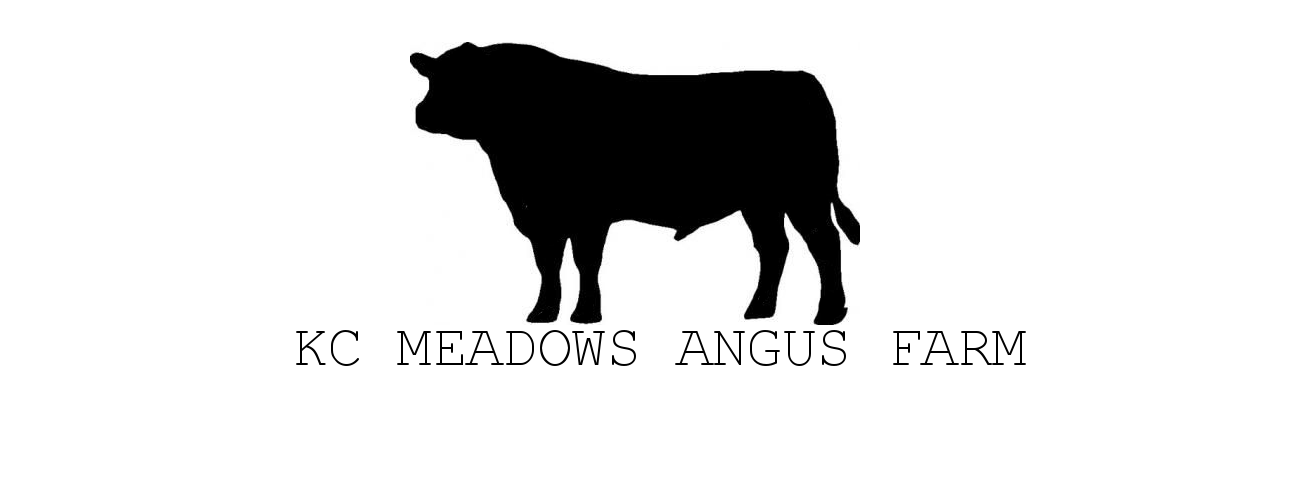 Kc Meadows Angus Farm