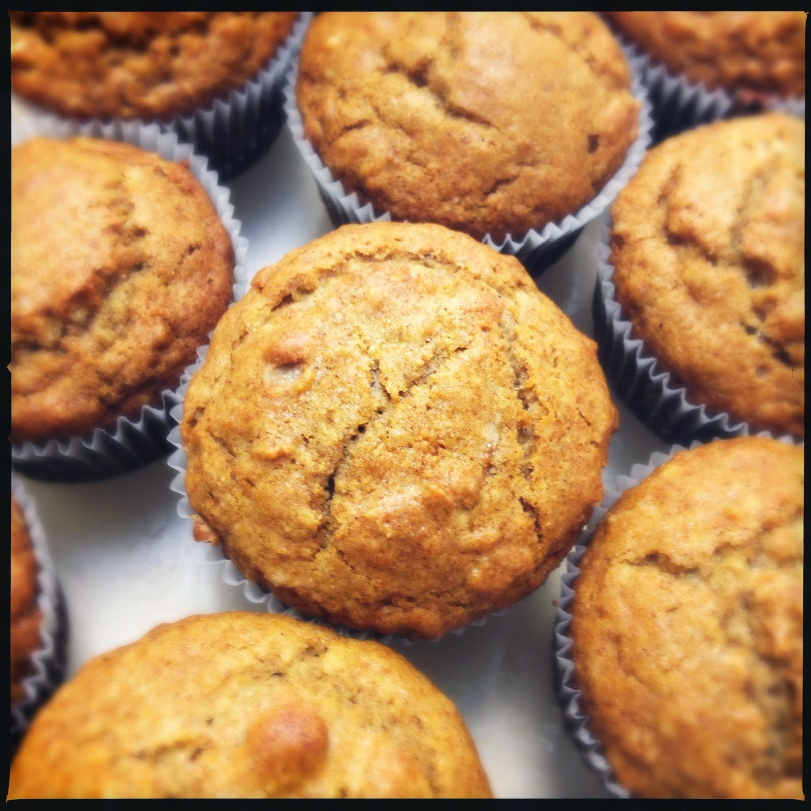 SOUNDING MY BARBARIC GULP! HoneyOat Muffins