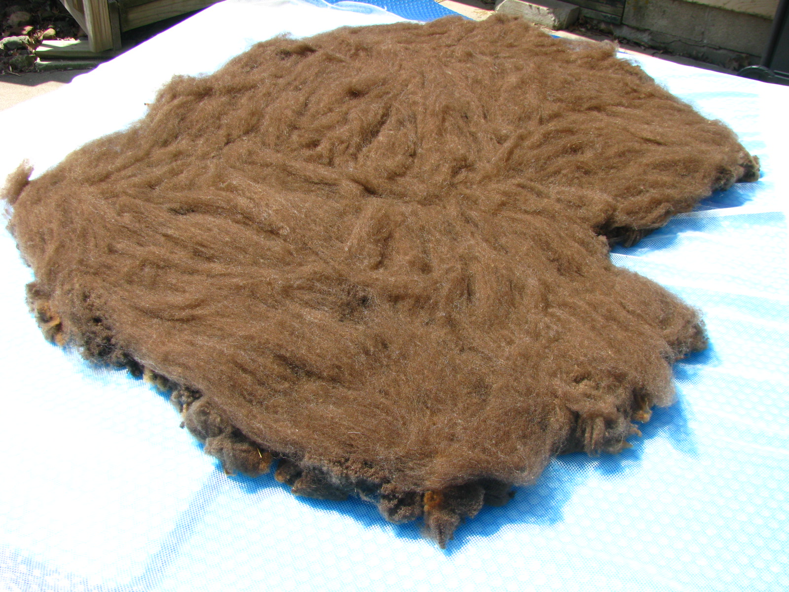 Becky Utecht Felt & Fiber A Felted Fleece
