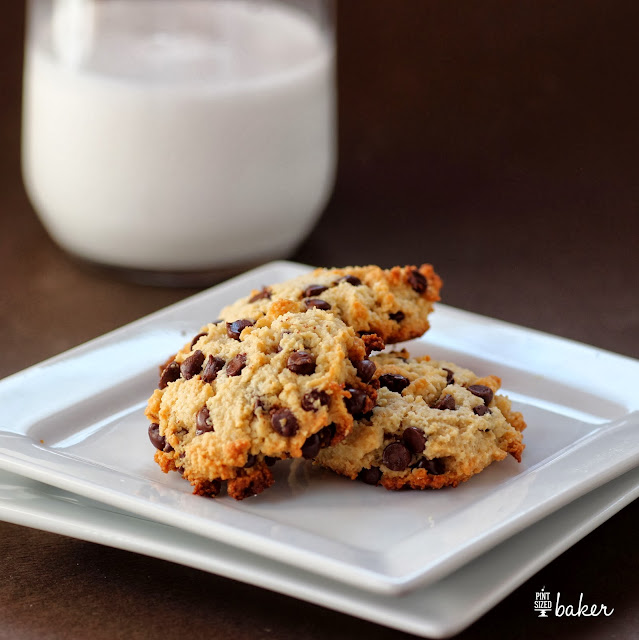 Paleo Chocolate Chip Cookies - So good, you won't miss your sugar filled cookies.